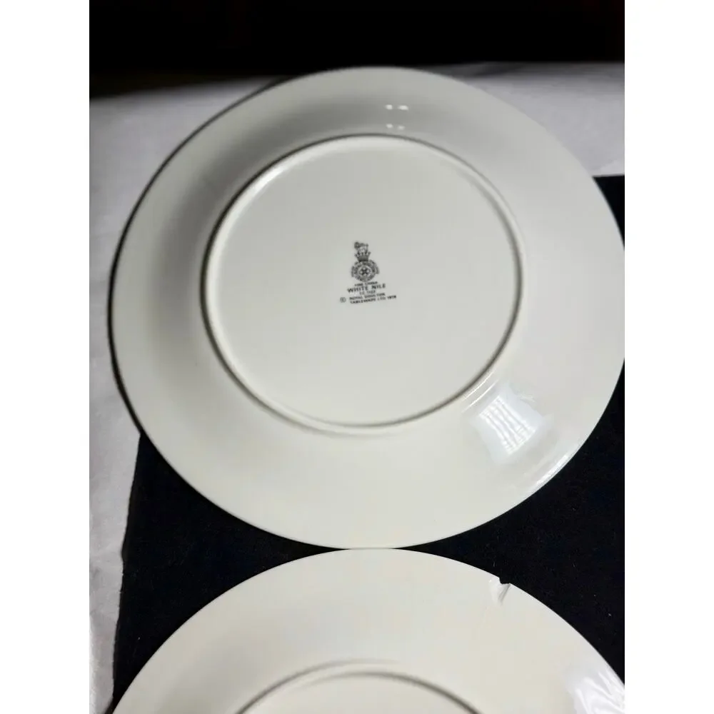 Royal Doulton White Nile TC1122 8